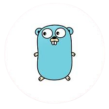 Golang